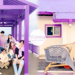 紫色控此生必去! 韓國最夢幻「紫色小島」 整座島全是粉嫩紫色:馬路、小橋都美呆